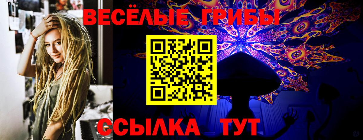 Псилоцибиновые грибы MAGIC MUSHROOMS  купить закладку  Кашира  Вход с VPN  Псилоцибиновые грибы MAGIC MUSHROOMS 
